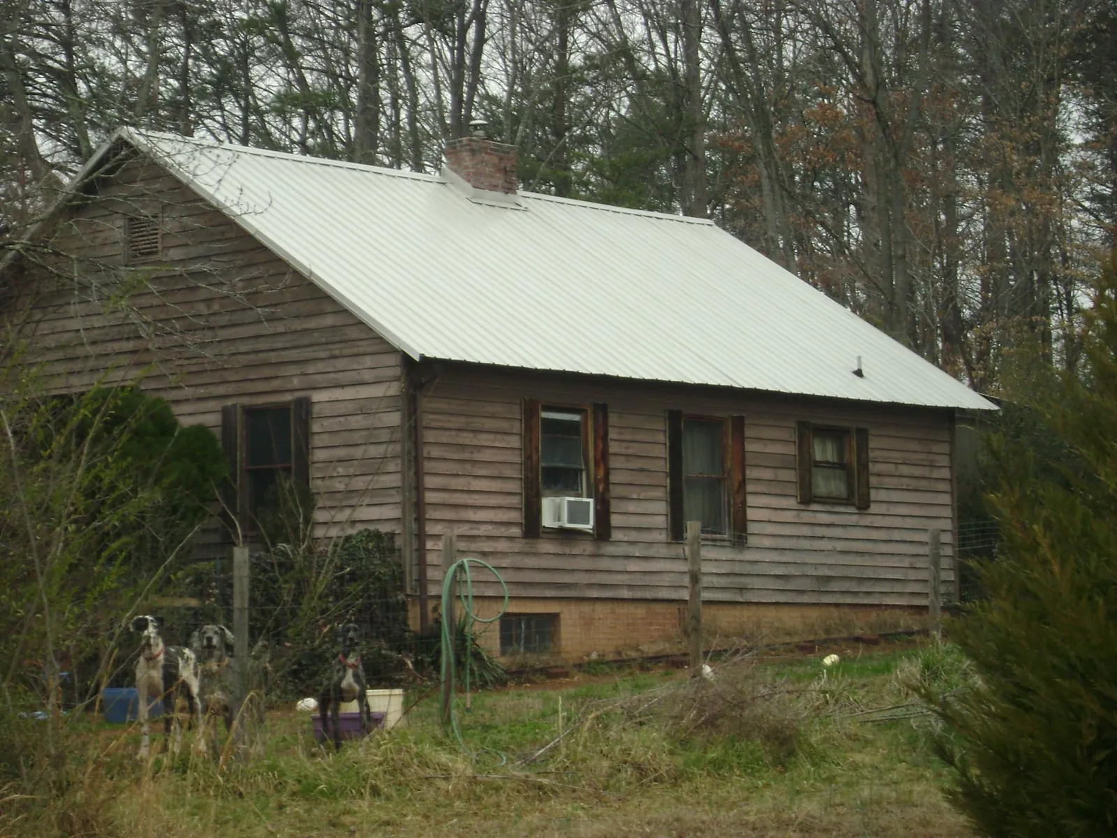 White metal roof on an old wood sided farmhouse, from a Asphalt Shingle Roof Repair job in Saint Cloud